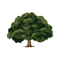 The tree is green and summery in a flat style. Plants in the forest. Vector illustration.