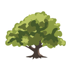 The tree is green and summery in a flat style. Plants in the forest. Vector illustration.