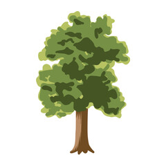 The tree is green and summery in a flat style. Plants in the forest. Vector illustration.
