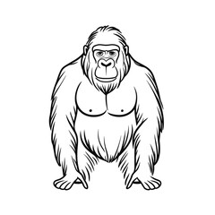 Male gorilla standing confidently with a strong posture in line art  