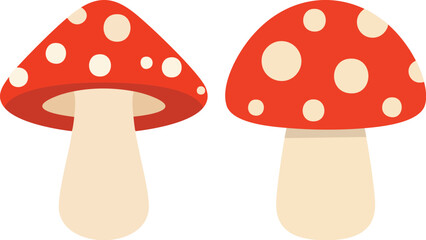 fly agaric mushroom vector illustration