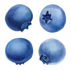 Watercolor Blueberry Clipart Set with Four Isolated Berries Handpainted Fruit Elements for Food Packaging Labels Summer Recipes