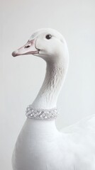 close up of a goose