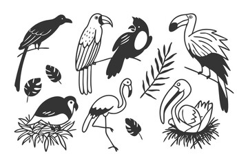 Tropical bird collection silhouette illustration