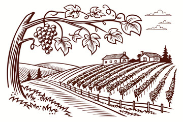 Fototapeta premium Hand drawn vineyard landscape. Isolated on white background. Vintage style vector illustration
