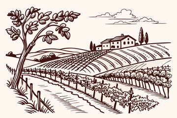 Hand drawn vineyard landscape. Isolated on white background. Vintage style vector illustration