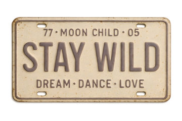 Vintage Stay Wild License Plate Design Dream Dance Love Retro Decor Textured Background