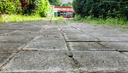 Close-up, low angle photo of a weathered concrete sidewalk with moss, cracks, and small plants growing in between the tiles. Green bushes and a small house are blurred in the backgrounda
