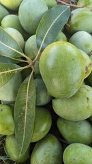 Asian tropical fruit with a background of green mango texture