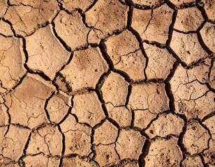 Rustic cracked earth texture — overhead view, brown tones with high-contrast cracks and dried soil patterns