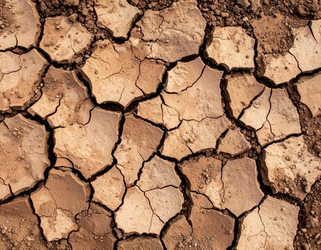Rustic cracked earth texture — overhead view, brown tones with high-contrast cracks and dried soil patterns - Powered by Adobe