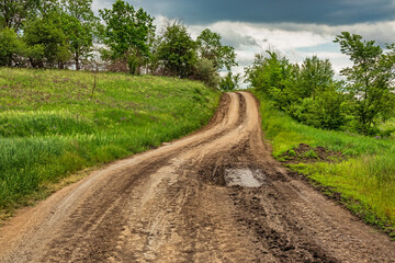 A dirty country road is surrounded by trees and green grass. Picturesque landscape of summer countryside nature in Kharkiv region of Ukraine