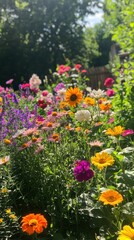 Obraz premium Garden filled with colorful flowers outdoors sunlight blossoms.