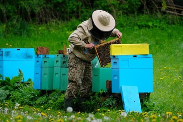 Beekeeper working on his hives in meadow