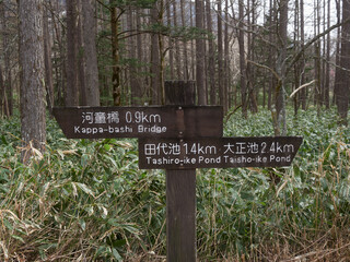 初夏の観光名所上高地の観光案内板