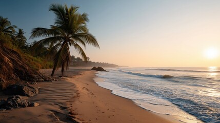 Tranquil sunrise beach with palm trees and gentle waves