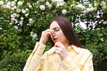 Woman with paper tissue suffering from seasonal pollen allergy near blossoming shrub on spring day