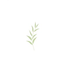 Fototapeta premium Cute fresh spring leave and branches vibes illustration minimalist leaf.