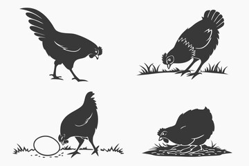 set of chicken