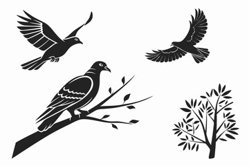 Obraz premium eagle and bird