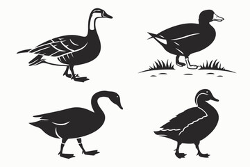 set of geese