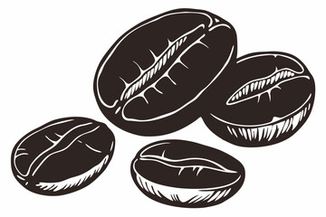 Obraz premium coffee beans vector
