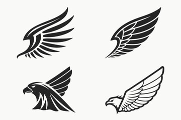 Obraz premium set of wings