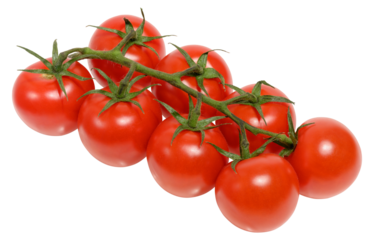 Fresh cherry tomatoes on the vine, isolated background. Juicy red tomatoes with green stems, perfect for salads