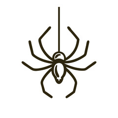 Obraz premium Intricate spider hanging from a web in a darkened environment showcasing its delicate features and natural elegance