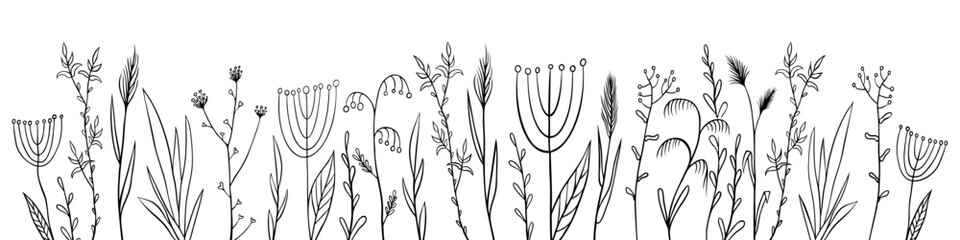 Grass silhouettes collection. Floral black and white background. Vector illustration.