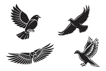 Obraz premium set of birds