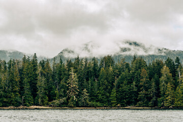 Pacific Rim National Park Reserve, Tofino, Vancouver Island, British Columbia, Canada