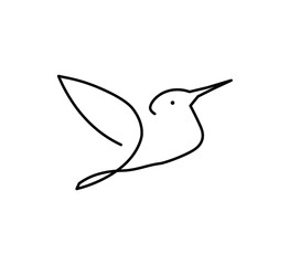 vector illustration of a flying bird on white background