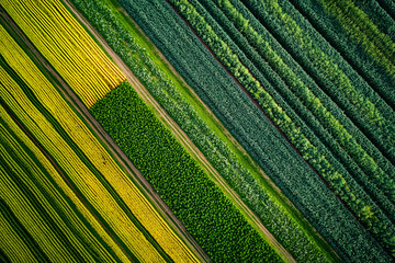 High-Tech Drone Surveillance for Monitoring Crop Health in Farmland  