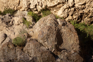 Dark red orange brown rock texture with cracks