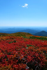 栗駒山の紅葉。栗原、宮城、日本。9月下旬。