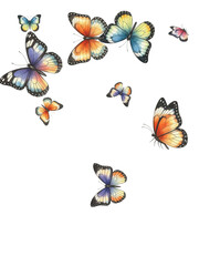 Adobe Illustrator Artwork