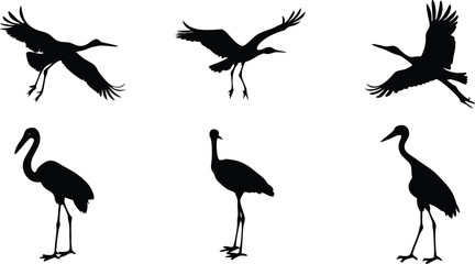 Stork bird silhouettes vector design.