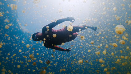 Freediver swims underwater in the lake full of jellyfish. West Papua, Misool, Indonesia