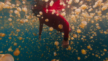 Freediver swims underwater in the lake full of jellyfish. West Papua, Misool, Indonesia
