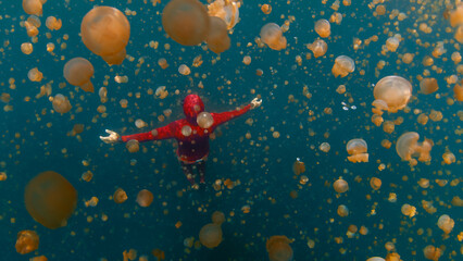 Freediver swims underwater in the lake full of jellyfish. West Papua, Misool, Indonesia