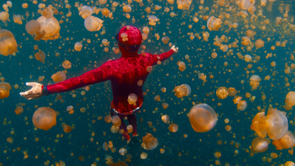 Freediver swims underwater in the lake full of jellyfish. West Papua, Misool, Indonesia