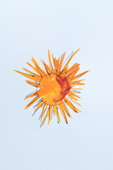 Hand-Drawn Sun Illustration