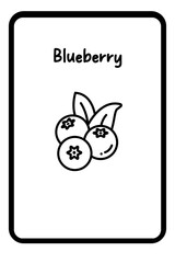 interesting blueberry pictures for drawing learners