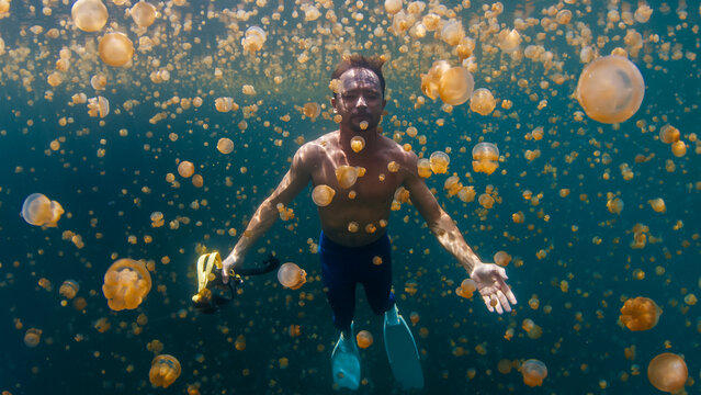 Relaxed male freediver swims underwater in the lake full of jellyfish without mask and gear. West Papua, Misool, Indonesia