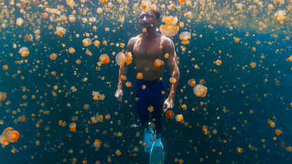 Relaxed male freediver swims underwater in the lake full of jellyfish without mask and gear. West Papua, Misool, Indonesia