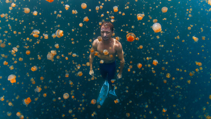 Relaxed male freediver swims underwater in the lake full of jellyfish without mask and gear. West Papua, Misool, Indonesia