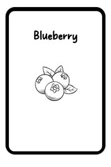 interesting blueberry pictures for drawing learners