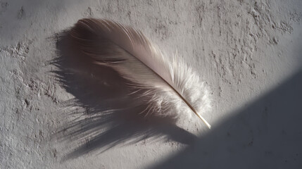 Delicate single feather casting shadow on textured surface in soft light