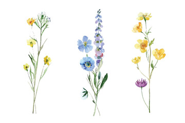 Naklejka premium Adobe Illustrator Artwork